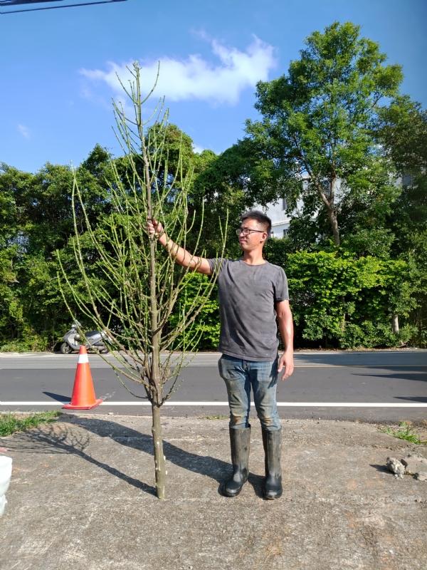 jeff的第二张照片--建瓯婚介网